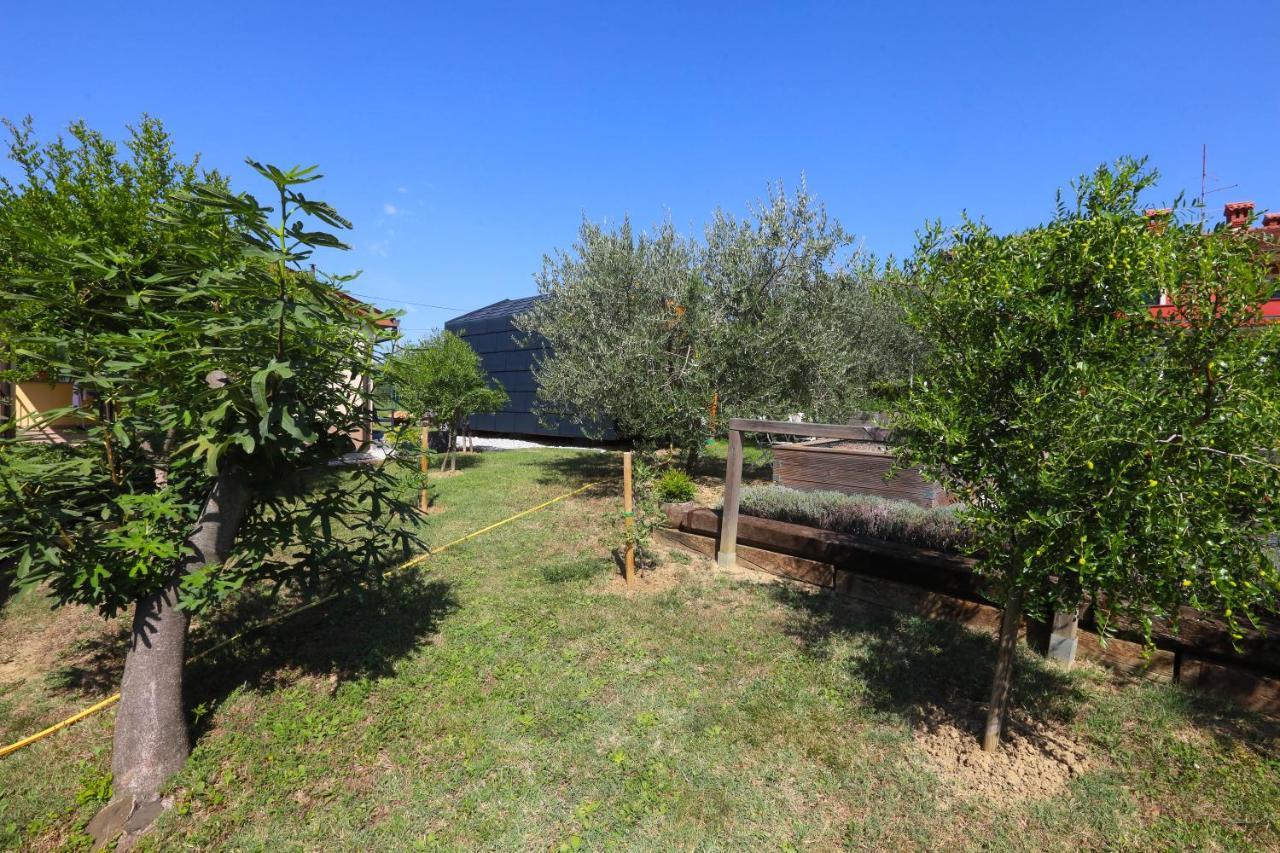 מלון קופר Healthy House Glamping מראה חיצוני תמונה