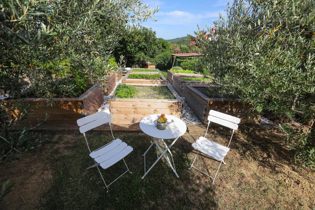 מלון קופר Healthy House Glamping מראה חיצוני תמונה