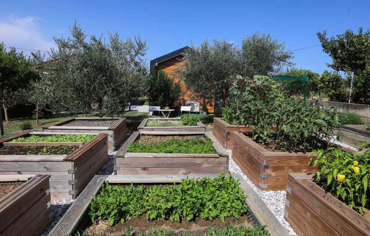 מלון קופר Healthy House Glamping מראה חיצוני תמונה
